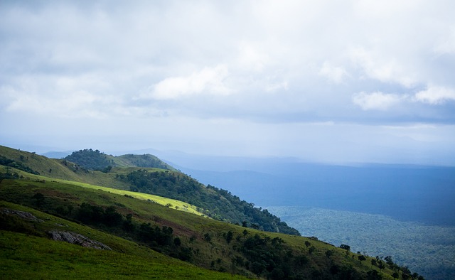 正在被考虑 正在被考虑
