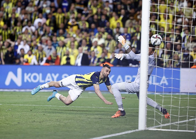 將是德國隊 將是德國隊