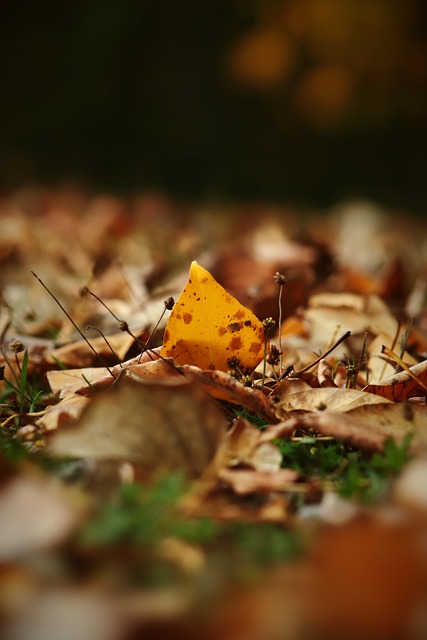 面對近期冒 面對近期冒