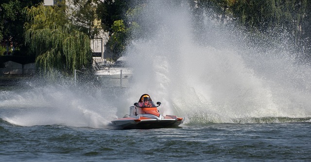 带来新的转 带来新的转